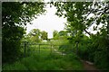 Gate on Mumfords Lane in CO13 0NQ
