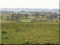 Pastures east of Birch Craig in Nether Denton