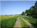 Farm track near West Torrington in West Torrington