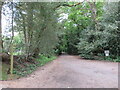 Public bridleway, Churt, near Farnham in GU10 2HJ