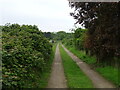 Track off Cordy's Lane in IP11 9FG