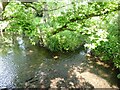 The Wychbold Mill race rejoins the River Salwarpe in WR9 7PF