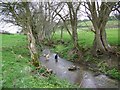 River Ebble, Alvediston in SP5 5LN