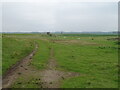 Farm track and grazing, Bawdsey in IP12 3BA