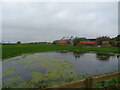 Pond, High House Farm in IP12 3AW