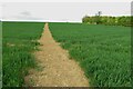 Footpath up the hill to Hobs Aerie in CB11 4HJ