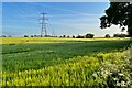 Farmland and pylons south of the B1038 in CB11 3UH
