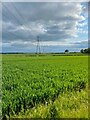 Pylons marching to the substation in CB11 4EY