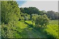 Footpath by the wood in CB11 3UG