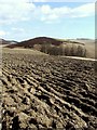 Ploughed field in front of the ruin of Leytack in DD8 3SX