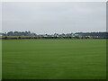 Turf field, Sutton Walks in IP12 3DW