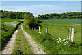 Track and farmland, Fosbury in Tidcombe and Fosbury