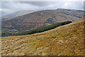Forestry plantation on the south side of Meall a' Mhadaidh in FK19 8PT