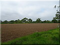 Field towards the A12 in IP5 7TX