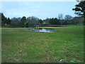 Flooded MacDonald Park in IV2 6ET