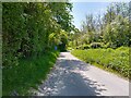 Unnamed lane towards Combe in RG17 9EL