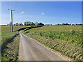 South from Littlebury Green in late May in CB11 4XE