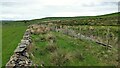 Old walled track to Byrom Gap in OL13 8NB