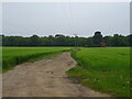 Track (footpath) towards New England Cottages in IP5 3UF