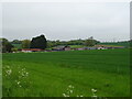 Cereal crop towards Hall Farm in IP13 6SX