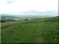 Public footpath on the north flank of Haw Pike in BD23 6DX