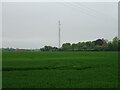 Cereal crop and communications tower, Debach in Debach