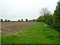 Field margin, Hoo Green in Hoo