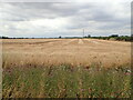 Part-harvested wheat field, near Marston in NG32 2HU