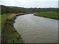 River Torridge - downstream in EX39 4QP