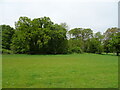 Grazing and woodland off the B1117 in IP19 0LR