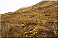 Slopes of Beinn Dearg Bheag in IV49 9BA