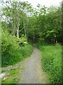 A path into the wood in G69 8DG