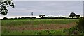 Field off the Ipswich Road, Nacton in IP10 0JJ