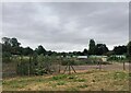 Allotments, Radcliffe on Trent in NG12 2PR
