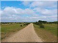Greenham Common path in RG19 6HD