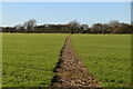 Footpath across field in Hougham Without