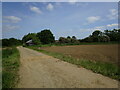 Farm track and old shed near Milcote in CV37 8JP