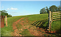 Tracks into field near Newhouse Barton in TQ12 5UJ