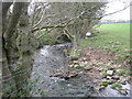 Bockleton Brook in SY8 2EP