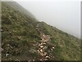 Path towards Bealach na Craoibhe in IV40 8HU