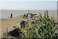 Rock Groyne at Seawick in CO15 2LN
