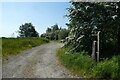 Bridleway to Greenmires Lane in HG3 1FB