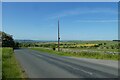 Telegraph poles along the B6161 in LS21 2LR