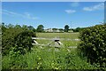 Gate near Mount Pleasant Farm in LS21 2QE
