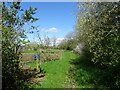Path through the allotments in PR5 0LB