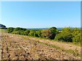 Downland near East Woodhay in RG20 0AL