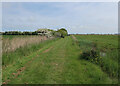 Path by Brendan's Marsh in NR12 0BP