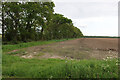Field by Sutton Road in NR12 0AX