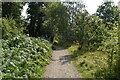 Footpath by Luss Water in G83 8TU