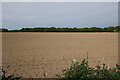 Field off Stubb Road in NR12 0BW